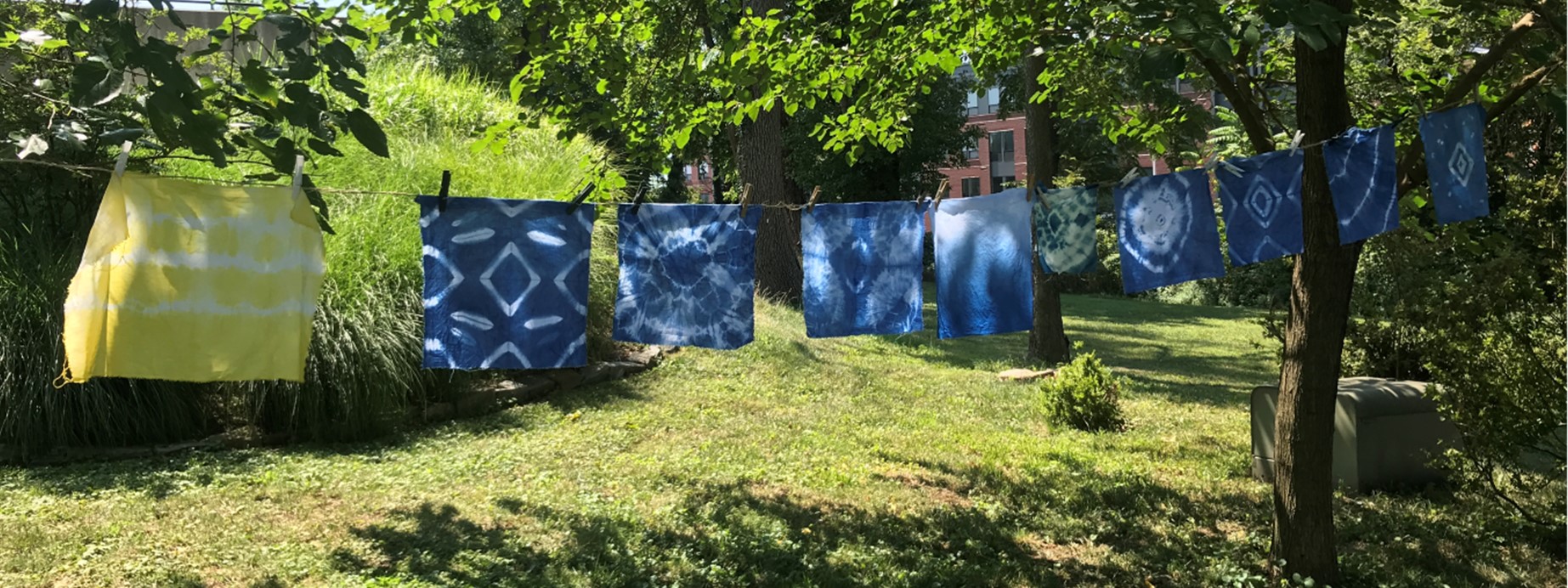 Fabric dyed with indigo and Black Eyed Susan's gorwn by the Baltimore Natural Dye Initiative Farmer Project.
