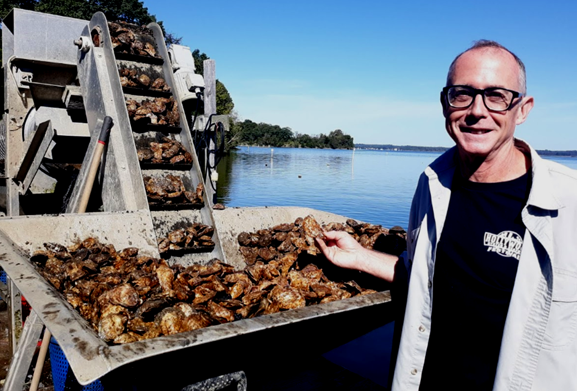 Tal Petty showing oysters.