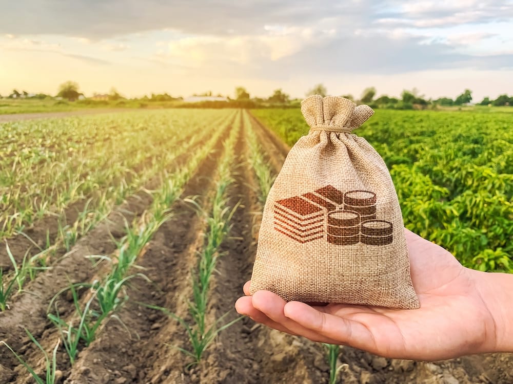 farm-management-secrets-large-88deec75d5ea1ddf50289447fd0ee1338528752a4316201a75e6b3630f1bebe2