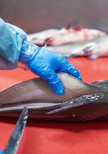 Blue_Catfish_Processing_-_MDA_-_Jay_Fleming_06