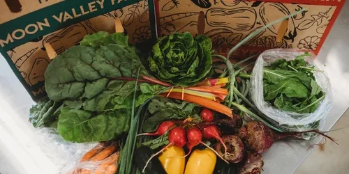 Fresh vegetables and herbs arranged in a produce box