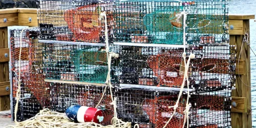 crab+pots