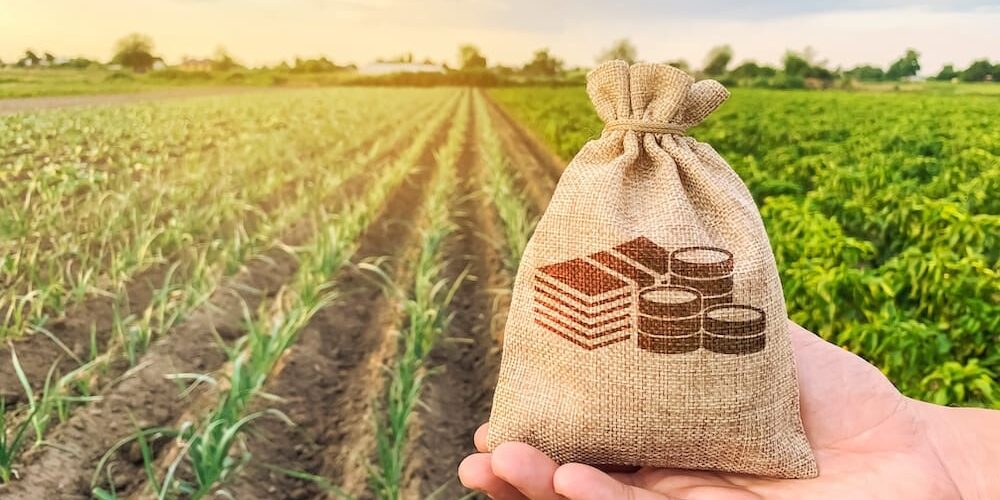 farm-management-secrets-large-88deec75d5ea1ddf50289447fd0ee1338528752a4316201a75e6b3630f1bebe2