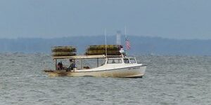 Commercial workboat operating on Maryland waters